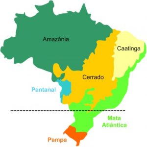 Biomas Brasileiros Caracter Sticas De Cada Bioma Resumo Biologia Enem