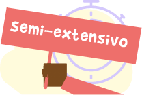 Plano de Estudo 1