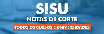 Sisu