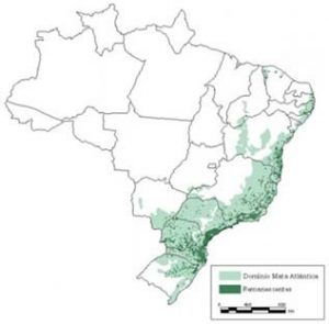 extensão da mata atlântica no território brasileiro - biomas