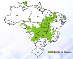biomas brasileiros - cerrado