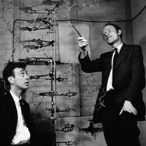 DNA e RNA - Watson e Crick