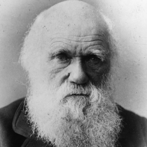 Darwinismo e Lamarckismo - Charles Darwin