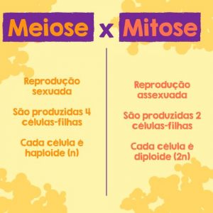 diferença entre mitose e meiose