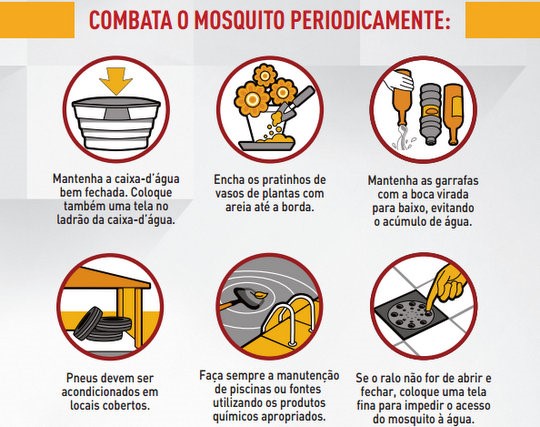 formas de combate Aedes aegypti