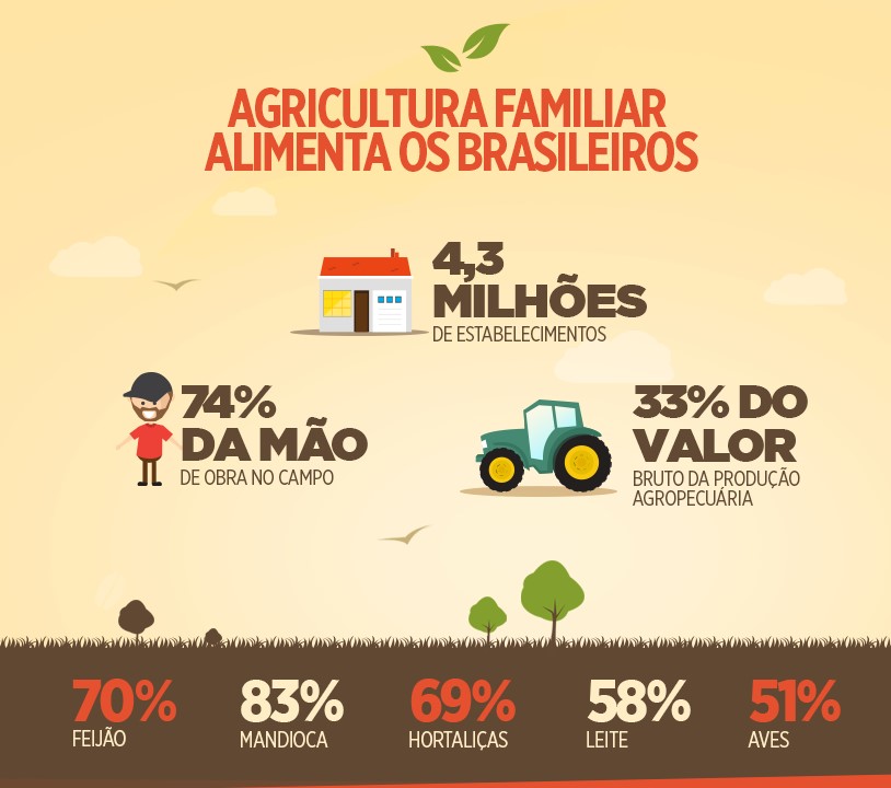 Proposta De Redação Enem A Agricultura Familiar No Brasil 8652