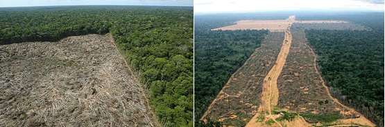 impacto ambiental - Amazônia