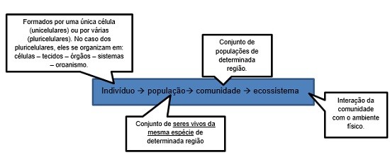organização dos seres vivos