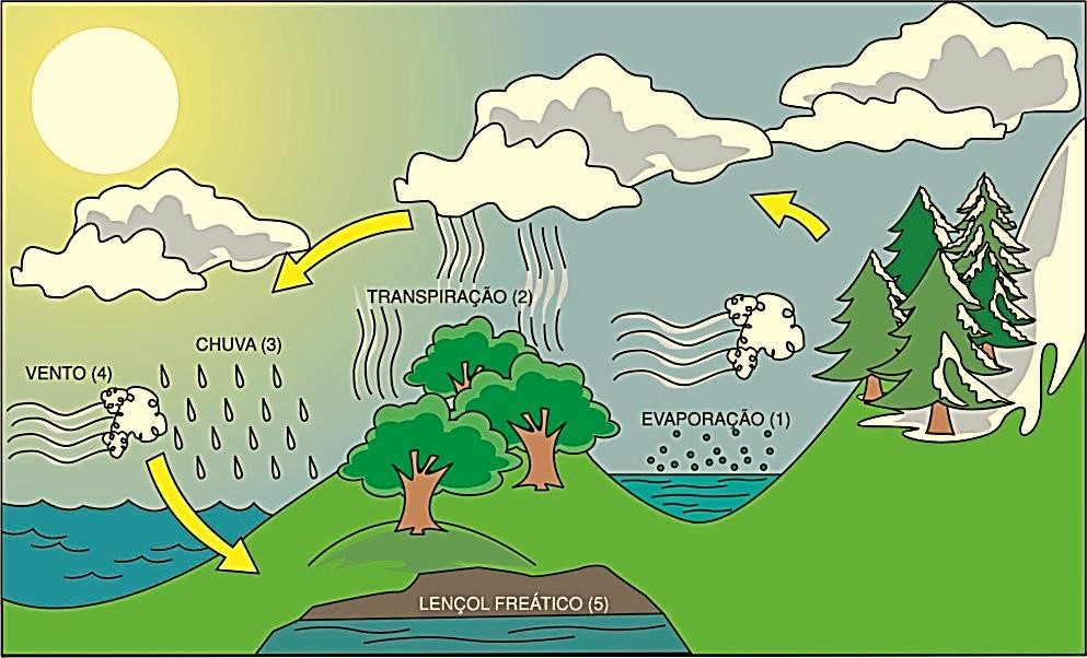 ciclo hidrológico hidrografia