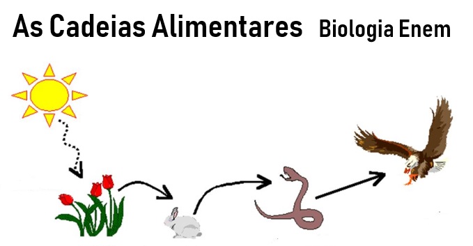 Cadeias E Teias Alimentares Resumo De Biologia Para O Enem