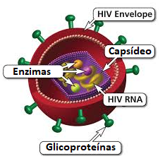 hiv entre jovens