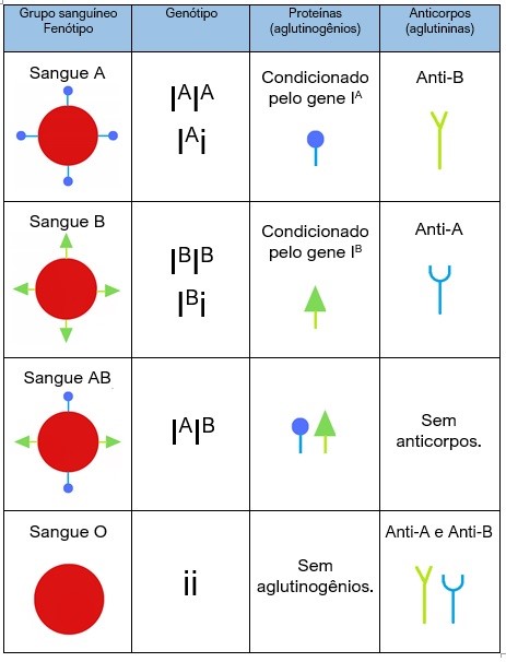 fenotipos e genotipos sistema ABO