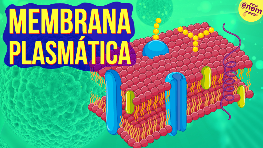 Membrana Plasmática Citologia Resumo De Biologia Para O Enem 1890