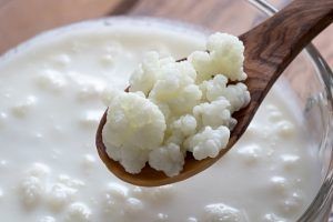 Fermentação alcoólica e láctica