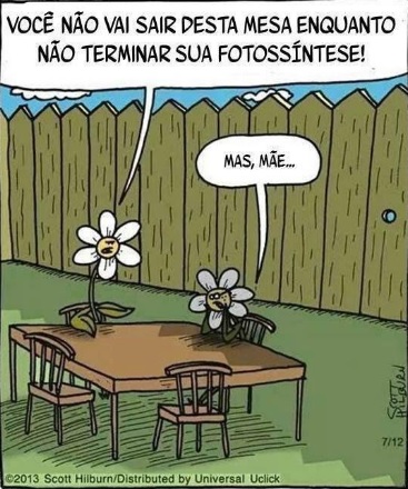 fotossíntese ilustração