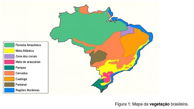 mapa da vegetação brasileira