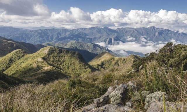 paisagem brasileira exemplo