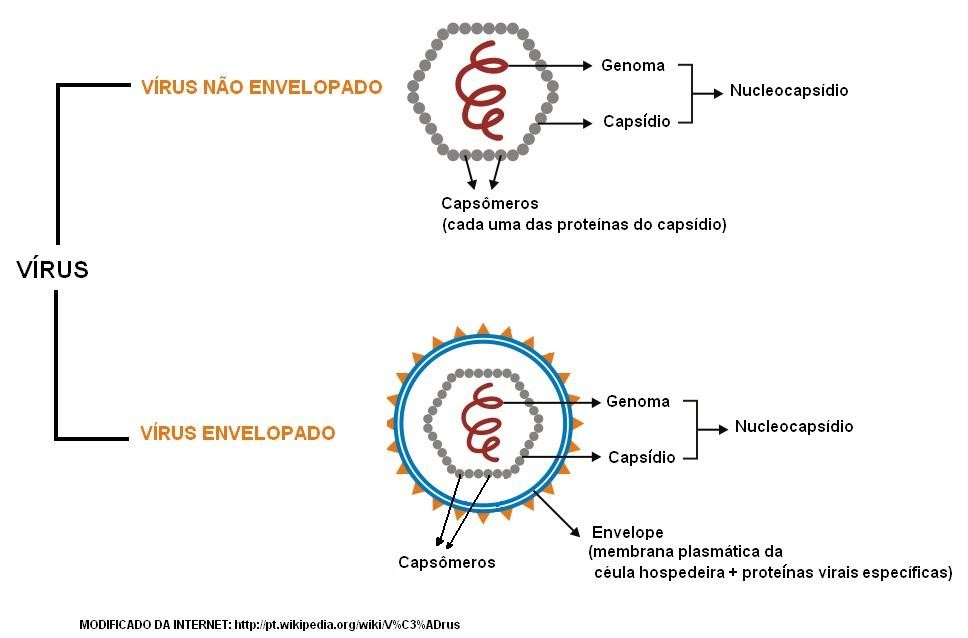 tipos de vírus