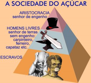 a sociedade do acucar