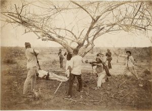 canudos euclides da cunha