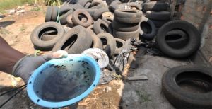 reprodução do Aedes aegypti