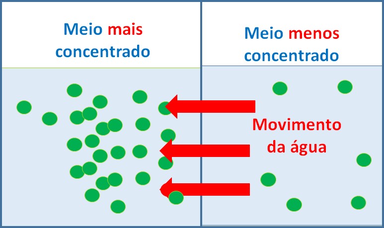 propriedades coligativas