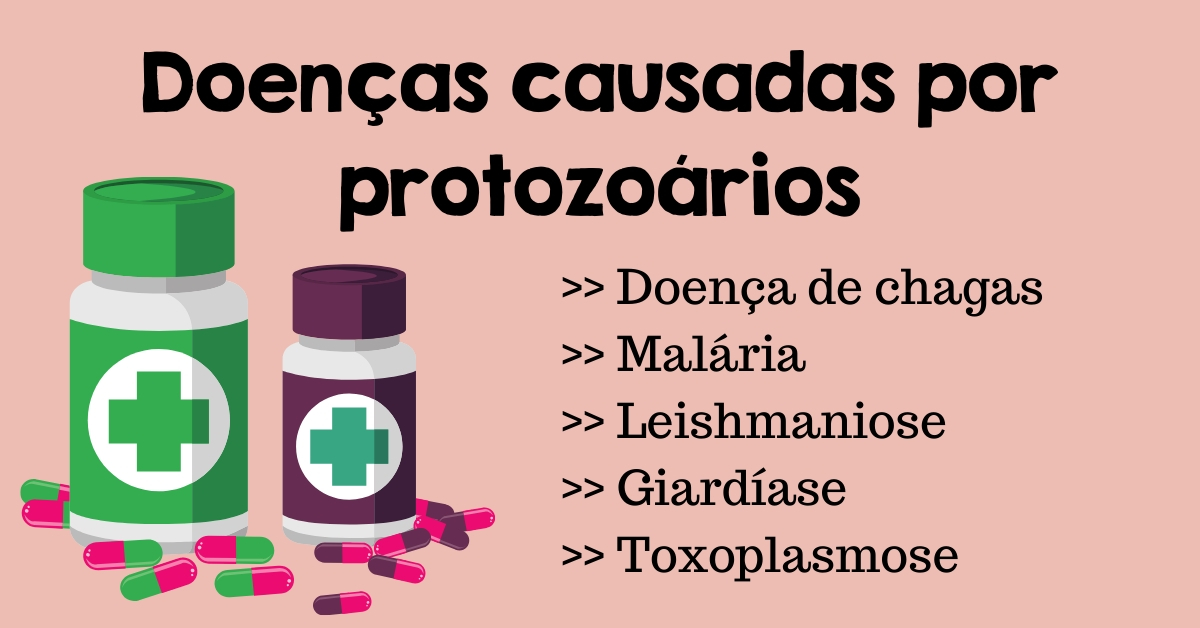 Doenças causadas por protozoários - Resumo de Biologia