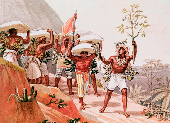 História dos negros no Brasil