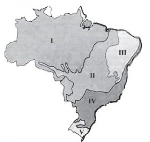 Vegetação do Brasil: mapa, tipos, características - Brasil Escola