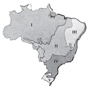 Pedagógiccos: Mapa do Brasil: vegetação