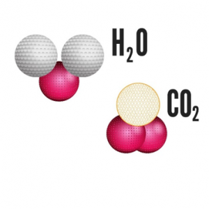 substancias compostas água e gas carbonico
