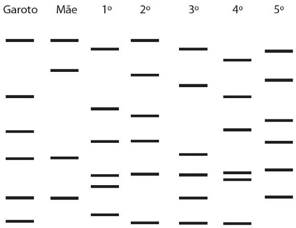 Exercício 2 - Enem - Biologia - Testes de DNA