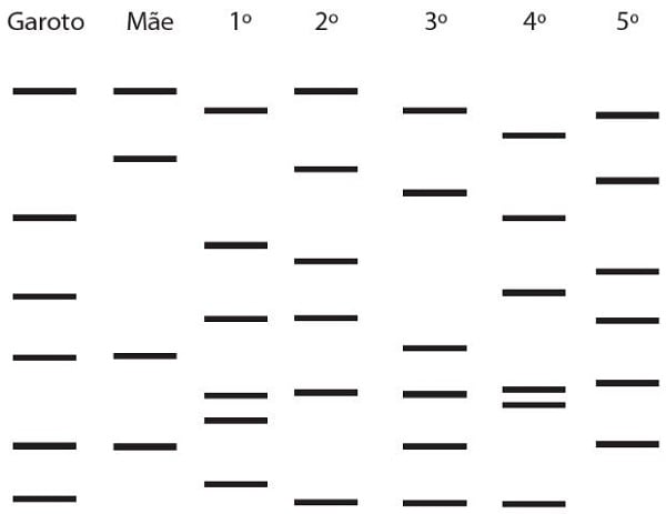 Exercício 2 - Enem - Biologia - Testes de DNA