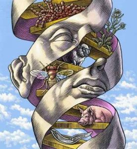 dna e projeto genoma