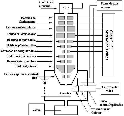 microscopio varredura nanotecnologia