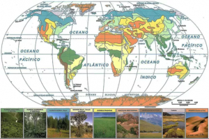 Figura 5 – Representação cartográfica da distribuição da cobertura vegetal na Terra