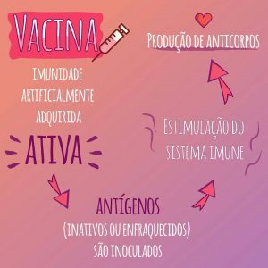 como as vacinas contra coronavírus funcionariam