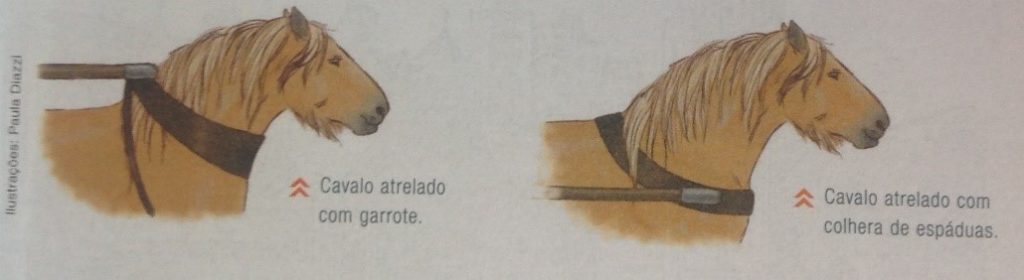 o uso da força do cavalo no renascimento comercial
