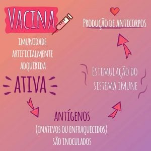 como as vacinas contra coronavírus funcionariam