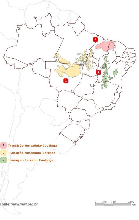 figura 2 - zonas de transição dos biomas brasileiros